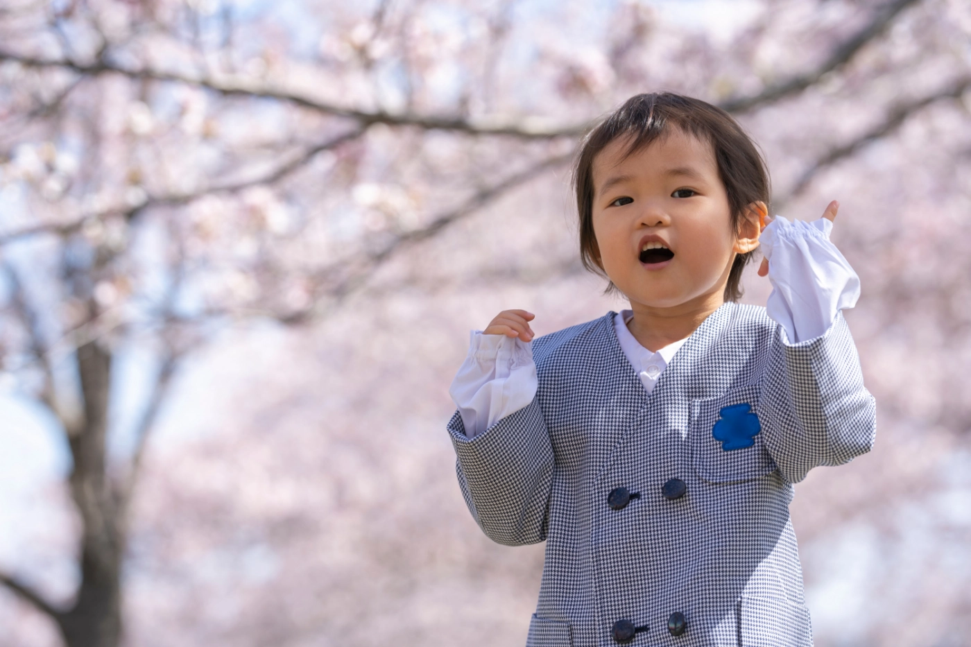 入園案内